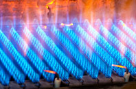Lerryn gas fired boilers